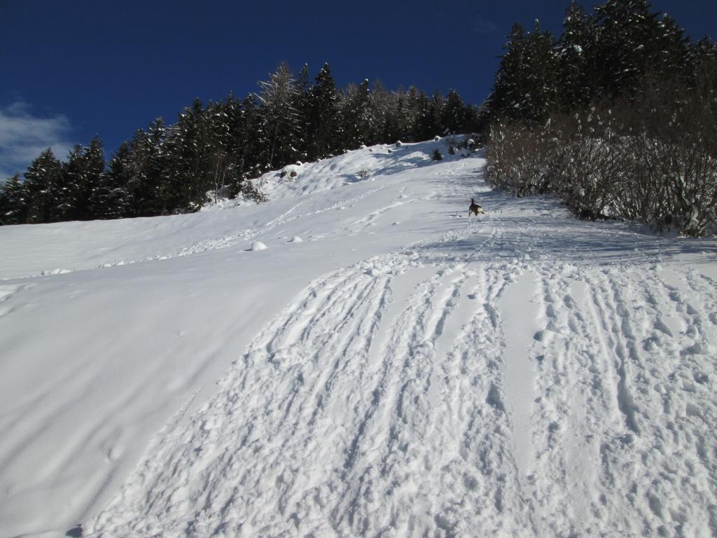 Resinger Matrei in Osttirol